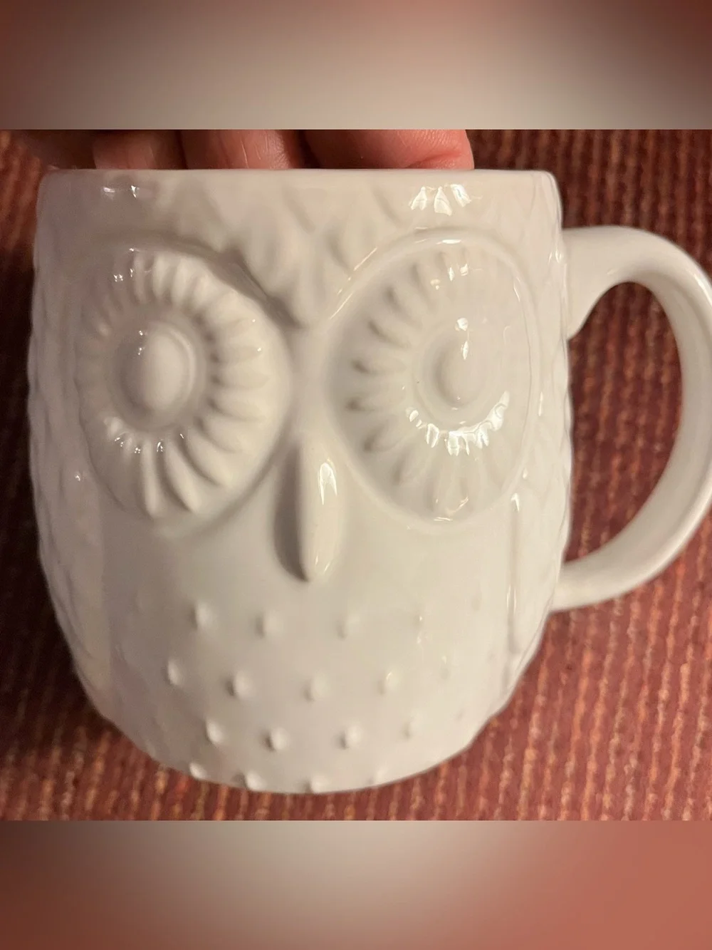 West Elm 20 oz. Embossed Owl Mug